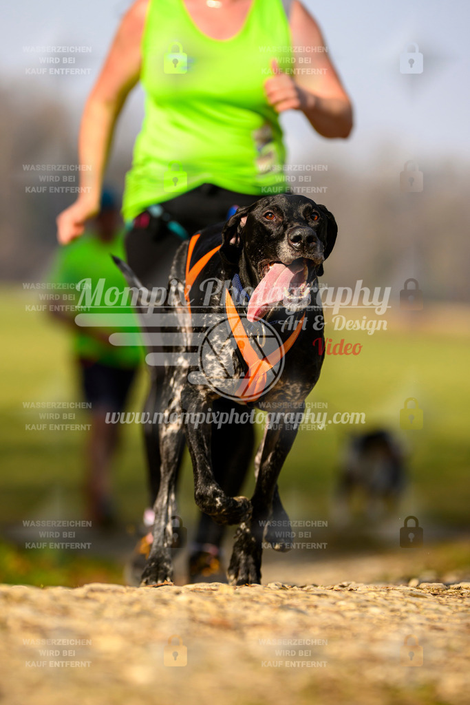 MompixPhotography_6ReiatRennen2026_SA_HappyDog-160 | PayLife