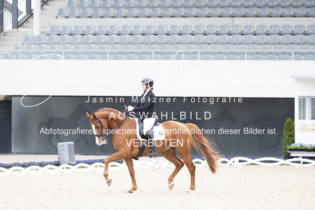 126A5184 | jasminmetznerfotografie
