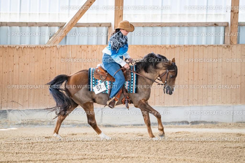 DSC01732 | Pferdegrafie