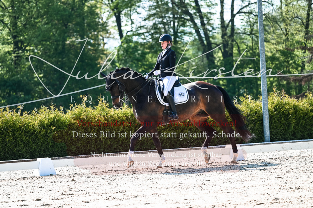 20230513_JK-Röhrsdorf-10-0336 | Pferde- und Turnierfotografie in Westsachsen. Pferdeportraits, Auftragszeichnungen und intuitive Kunst.