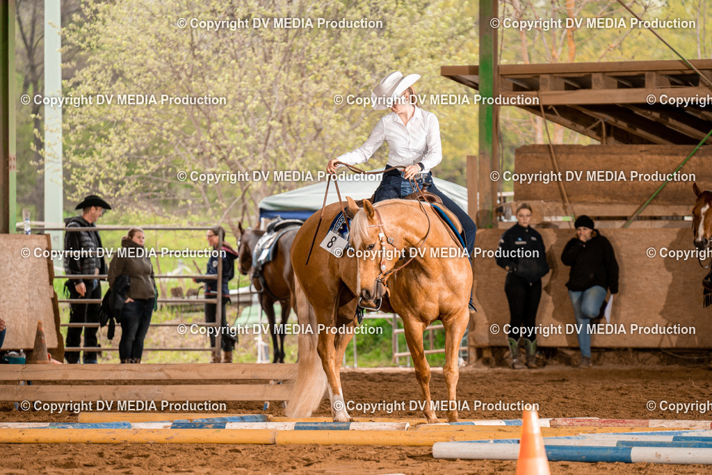 BA300289 | dv-media-shop - Realisiert mit Pictrs.com