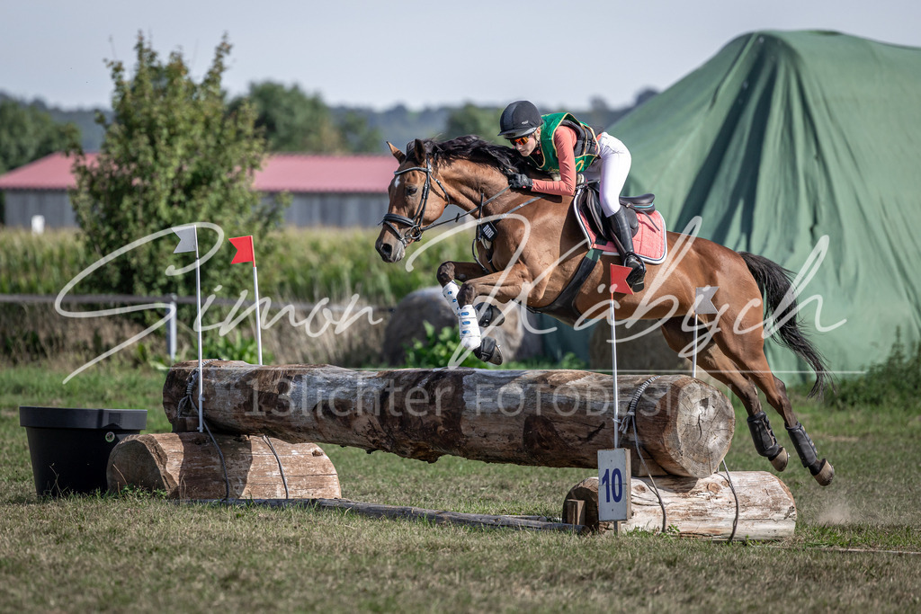 20250907-_3LI2612 | Tierfotografie Pferde, Hunde, Katzen, Haustiere.
Turnierfotografie Reitturniere, Reiten, Springreiten, Dressur in Hanau, dem Main-Kinzig-Kreis und dem Rhein-Main- Gebiet um Frankfurt