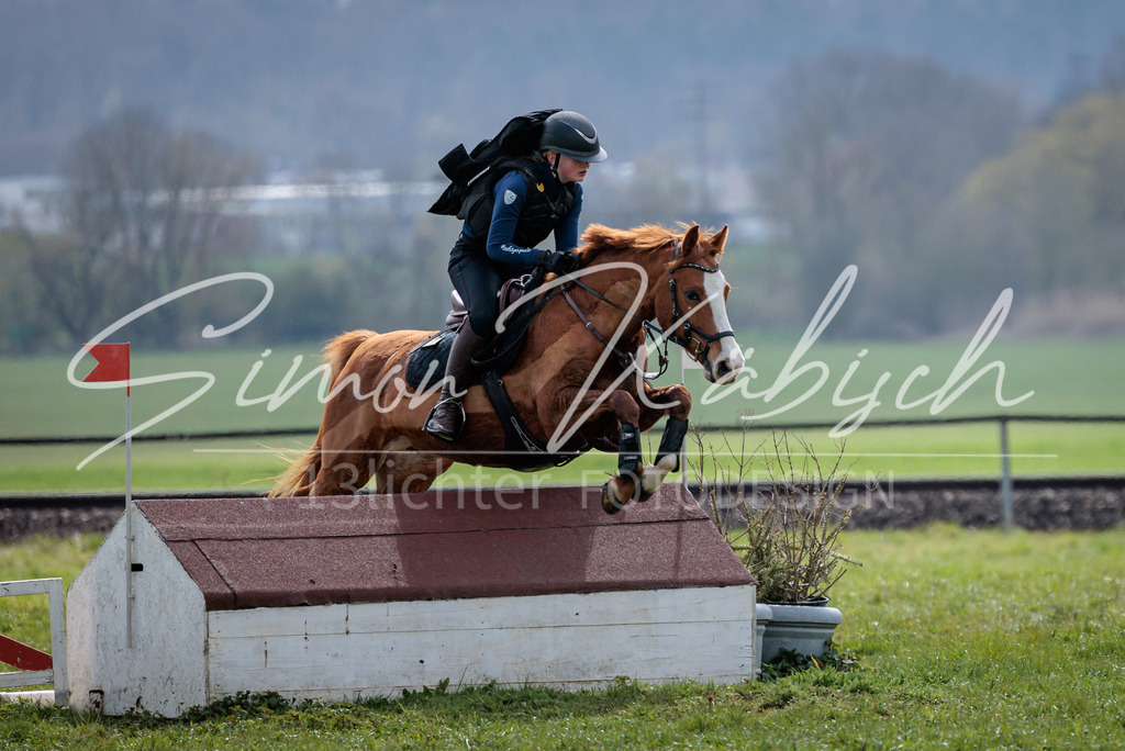 20260329-_3LI4774 | Tierfotografie Pferde, Hunde, Katzen, Haustiere.
Turnierfotografie Reitturniere, Reiten, Springreiten, Dressur in Hanau, dem Main-Kinzig-Kreis und dem Rhein-Main- Gebiet um Frankfurt