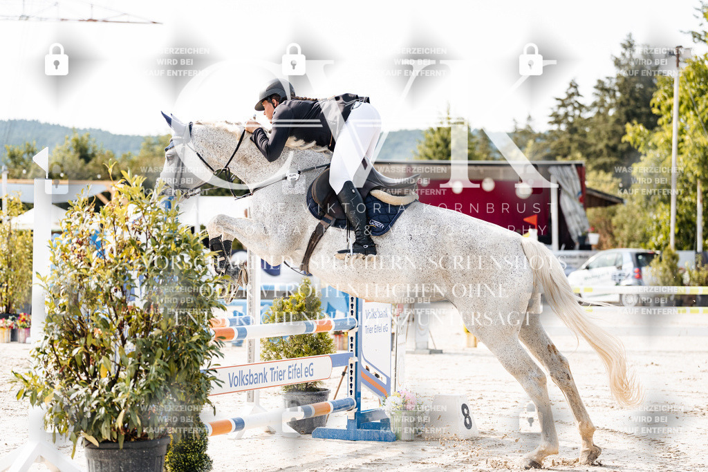 CK905501 | Turnierfotografie Pferdefotografie Trier Rheinland-Pfalz Pferdesport Reitsport Tierfotografie Sportfotografie Pferdevideo Pferdevideografie Equestrianvideography equestrianphotography  - Realisiert mit Pictrs.com