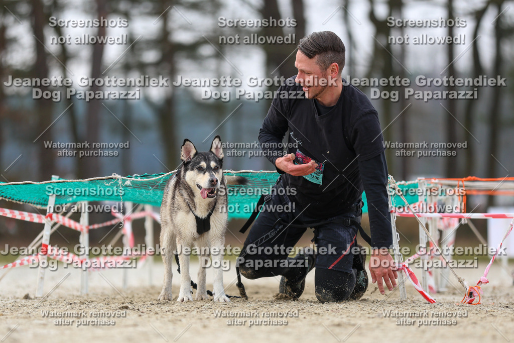 Dog Paparazzi - Strongdog North Mrz26-4586 | Dog Paparazzi Jeanette Grottendiek Fotografie & Videografie - Realisiert mit Pictrs.com