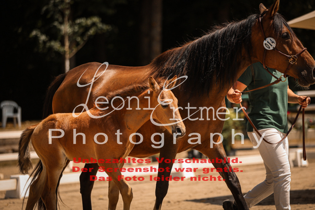 03.DoAB00019 | Leoni Ertmer Photography - Realisiert mit Pictrs.com