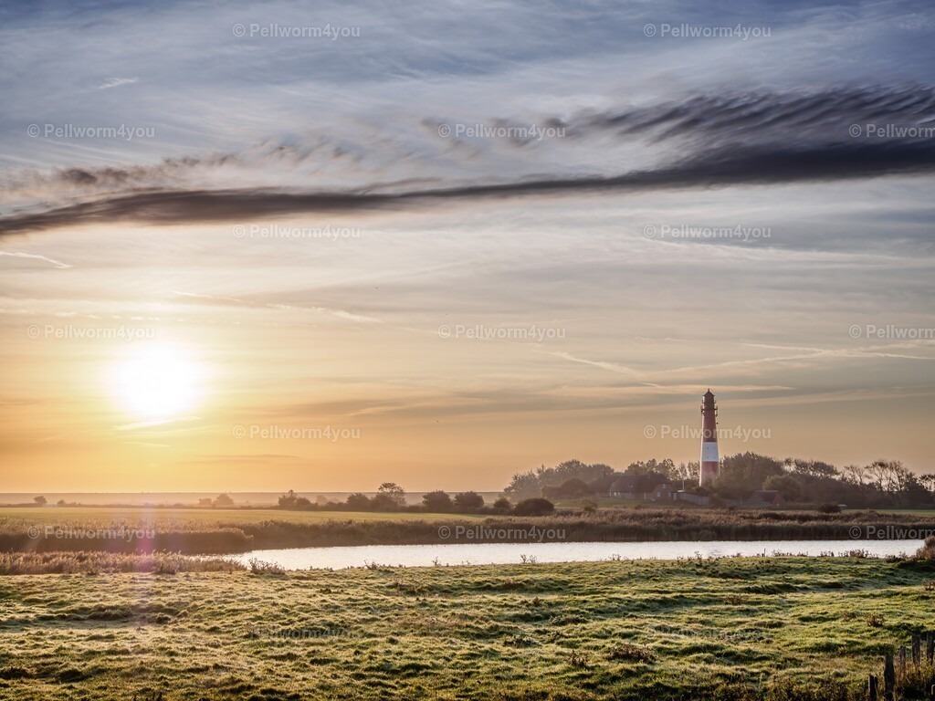 _9170453-Enhanced-NR-sharpen-denoise | Pellworm - Realisiert mit Pictrs.com