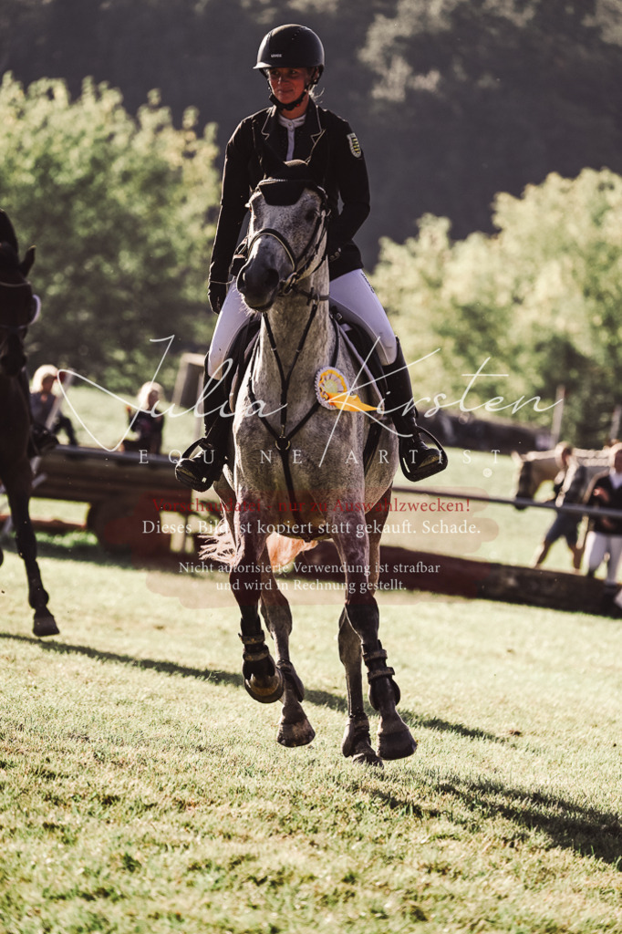 DSC_4633 | Pferde- und Turnierfotografie in Westsachsen. Pferdeportraits, Auftragszeichnungen und intuitive Kunst.