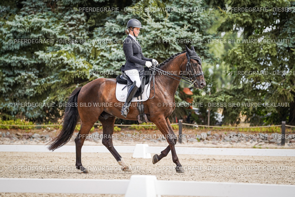 DSC03523 | Pferdegrafie