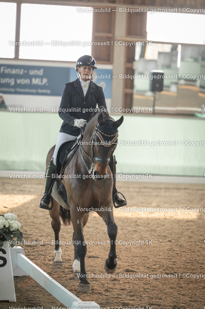 _D5A4033 | Emotionale Pferde- & People-Fotografie rund um Heidelberg, Leimen & Umgebung. Natürliche Fotos von Pferd, Mensch & Familie. Jetzt Termin sichern!