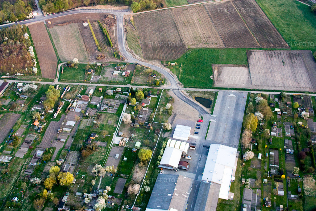 Luftbild: Krautgärten in Kandel im Bundesland Rheinland-Pfalz in Deutschland. Foto: IMG_17634.jpg vom 10.04.2009 durch Werner Riehm/FLY-FOTO.de