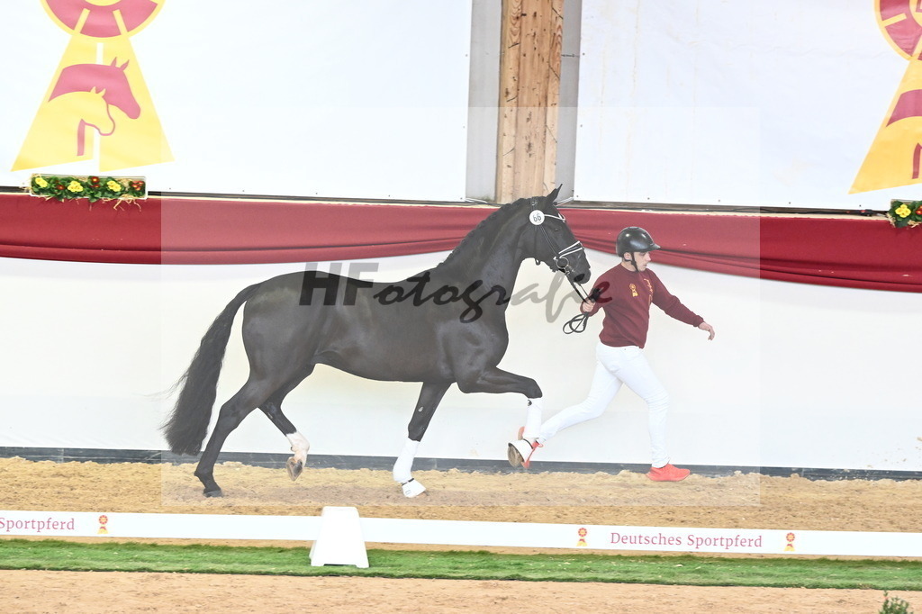 Kat.-Nr. 66 v. Taurus_Beckmann_2240861 | hf-fotografie - Realisiert mit Pictrs.com