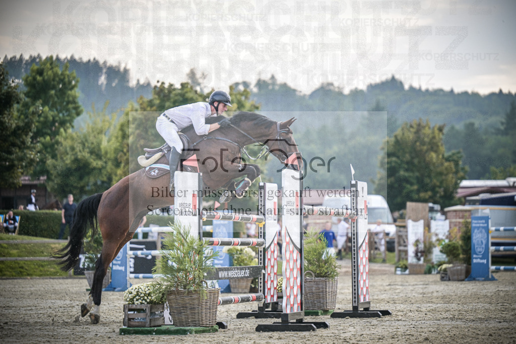 DOS_3116 | Entdecke hochwertige Reitturnierfotos von Foto Oger. Professionell, emotional und authentisch – jetzt Lieblingsmomente im Shop bestellen.Deutschlandweite Turnierfotografie. - Realisiert mit Pictrs.com