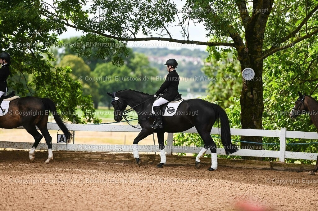 20230716_10-1_Reiter-WB Schritt - Trab - Galopp_0046 | equistock