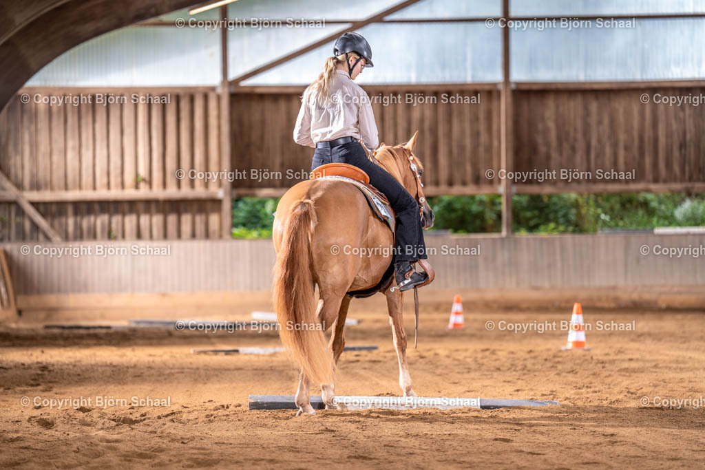 LMB05365 | BS-foto