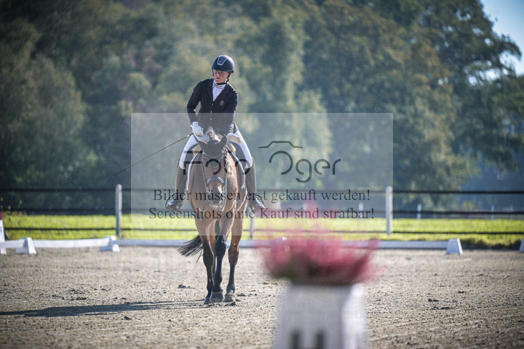 DOS_0223 | Entdecke hochwertige Reitturnierfotos von Foto Oger. Professionell, emotional und authentisch – jetzt Lieblingsmomente im Shop bestellen.Deutschlandweite Turnierfotografie. - Realisiert mit Pictrs.com