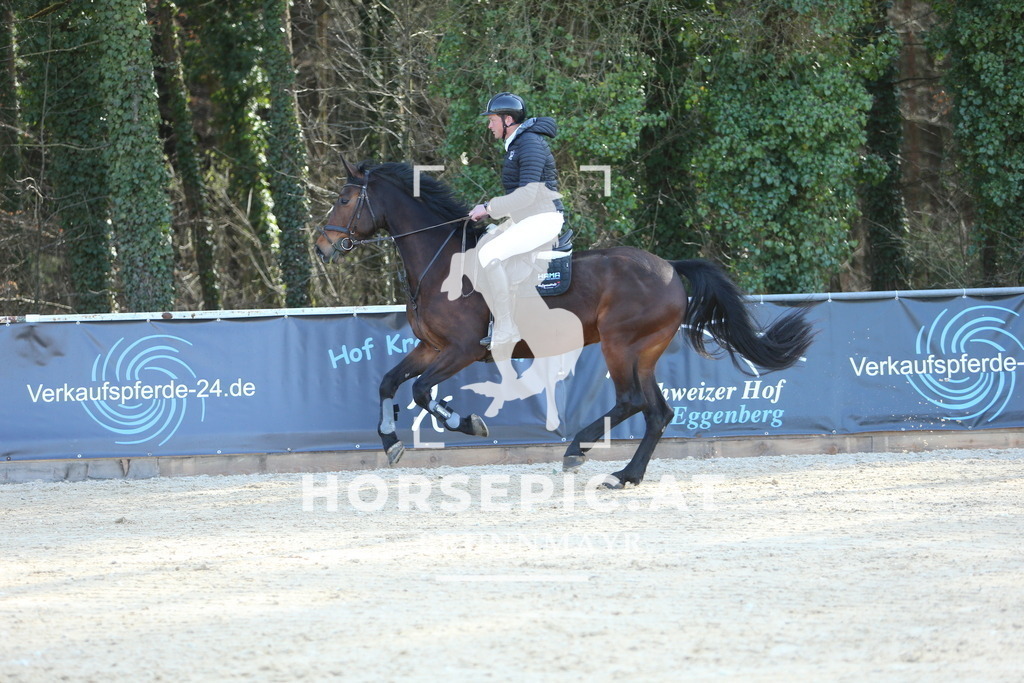 DL2Q3992 | Willkommen bei Brunnmayr - Design & Fotografie – Ihrem Spezialisten für Reitturniere und Pferdeveranstaltungen in Oberösterreich, Salzburg und Bayern! Seit über 17 Jahren sind wir leidenschaftlich dabei.