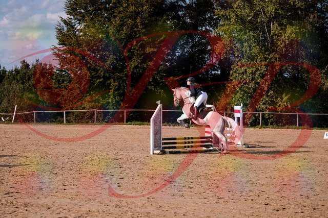 2026_10_03_Siefer-Hof_153917_Z81_54149480 | Professionelle Reitsport-, Turnier- und Eventfotografie von Robert Broda. Galerien mit ausgewählten und bearbeiteten Bildern direkt online ansehen und bestellen.
