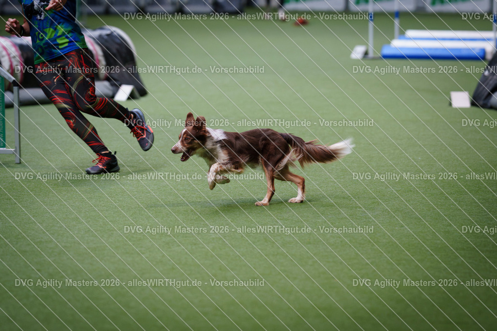 allesWIRTHgut_Tierfotografie-DVG_Agility_Masters_2026-11_26-7R501739 | Professionelle Tierfotografie in Mönchengladbach von Daniel Wirth (allesWIRTHgut). Liebevolle & natürliche Bilder von Hunden & Katzen für unvergessliche Erinnerungen.