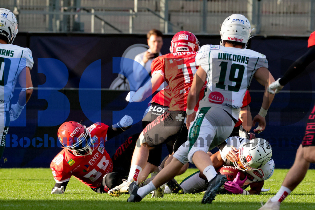  14.10.2023 - 
 | Sebastian Sendlak / Bochumer Nachrichtendienst (BOND) - GFL-Bowl 2023: Schwaebisch Hall Unicorns vs. Potsdam Royals - Realisiert mit Pictrs.com