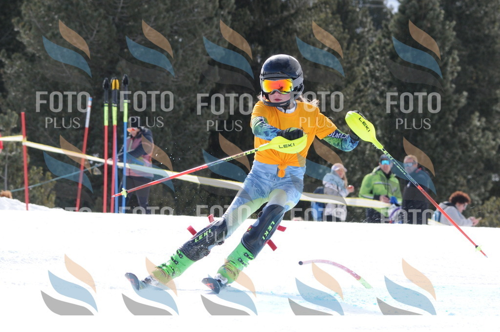 C8792 | holidayphoto