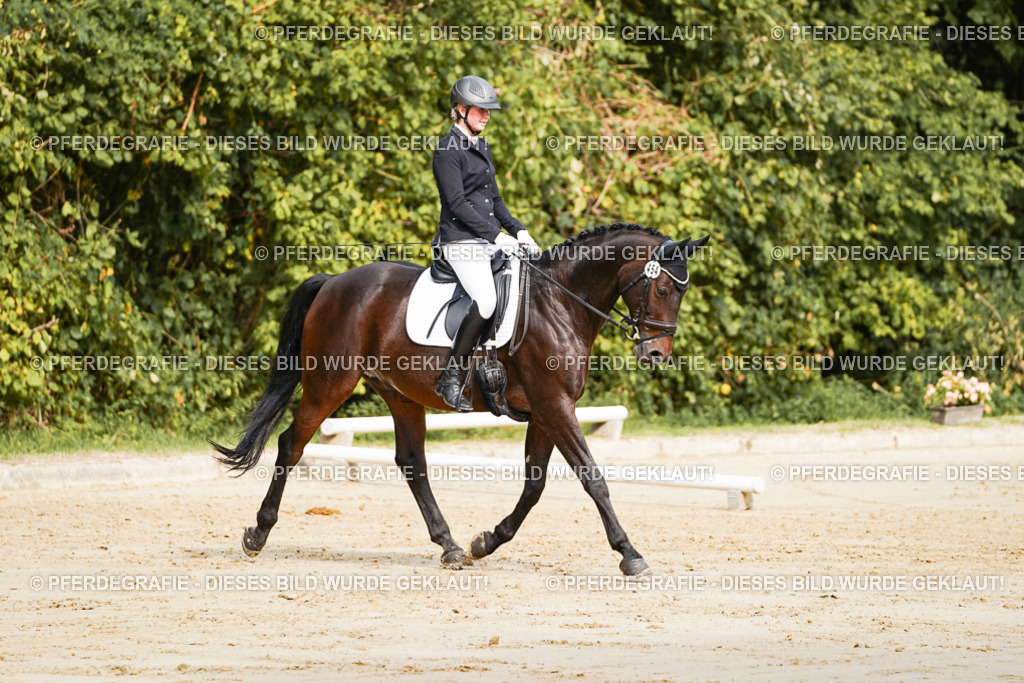 DSC01556 | Pferdegrafie