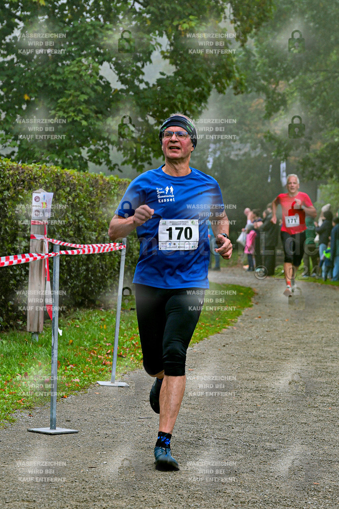 Z8N_1528 | la-psv - Realisiert mit Pictrs.com