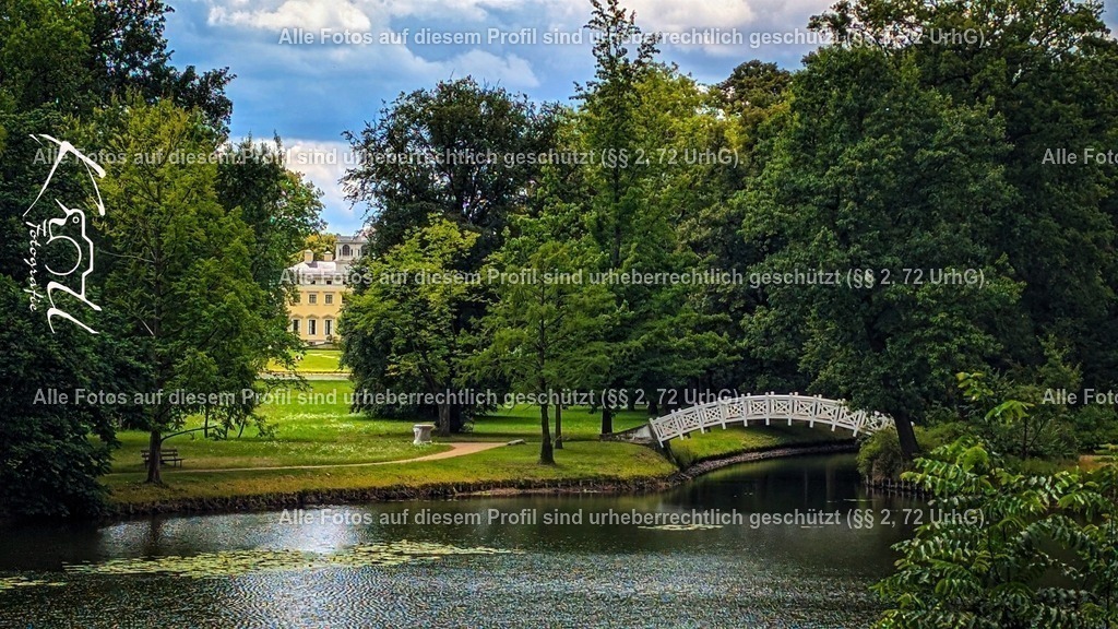 Photo_1753819612798 | krollfotografie - Realisiert mit Pictrs.com