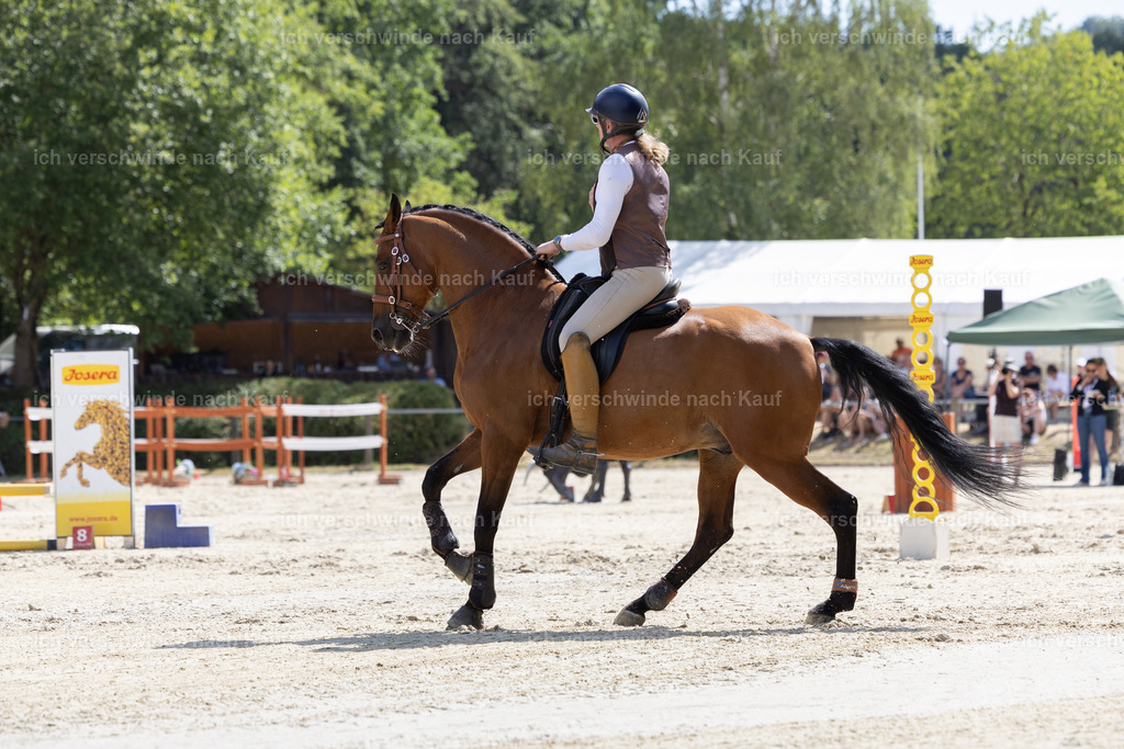 WS_SPEED62_KerstinBernhardt-6 | working equitationturnier fotograf videograf stoibphotography marixx film working equitation deutschland reitsport turnierfotografie eventfotografie equestrian events
