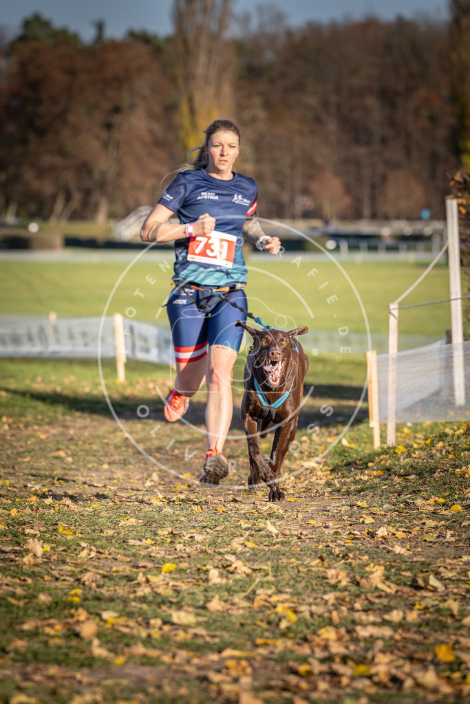 CaniXpix_DV3A2056 | Hundefotografie, Tierfotograf, Pfotenfotografie, Fotoshooting Hund, Hunde Portrait, Hundesport, Hundeportraits, Heideshooting, Hunde, Sportfotograf, Hundefotograf, Turnierhundsport, THS,  - Realisiert mit Pictrs.com
