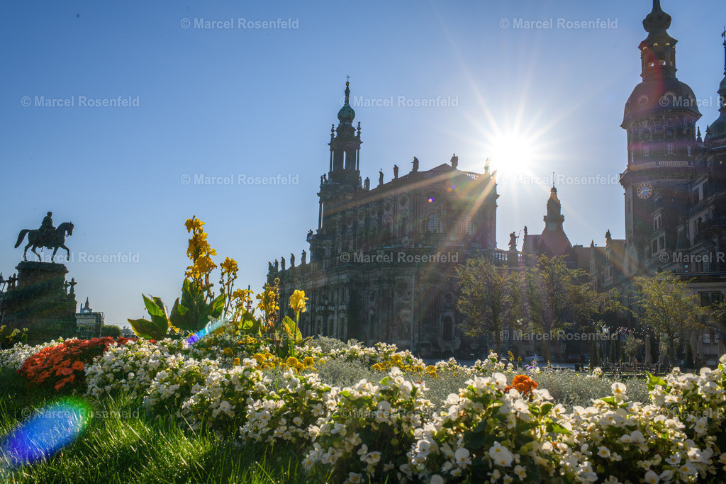 _DSC1504 | foto-rosenfeld