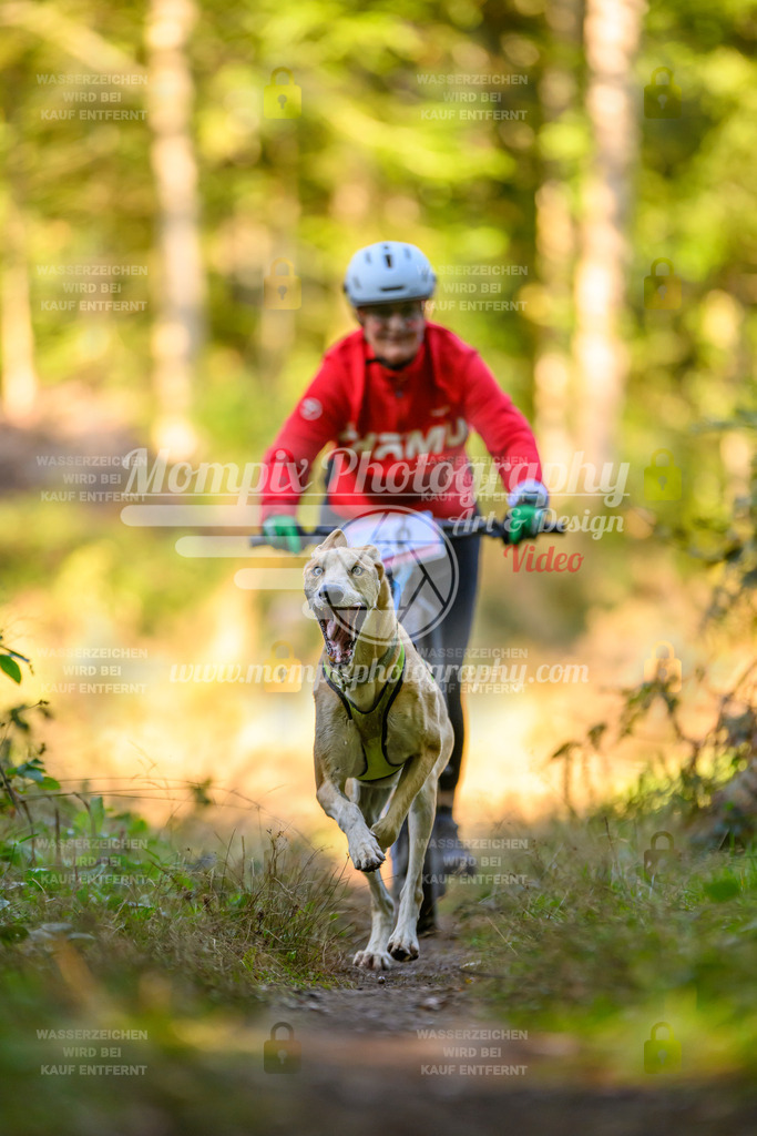 MompixPhotography_Yens2025_B3-134 | PayLife