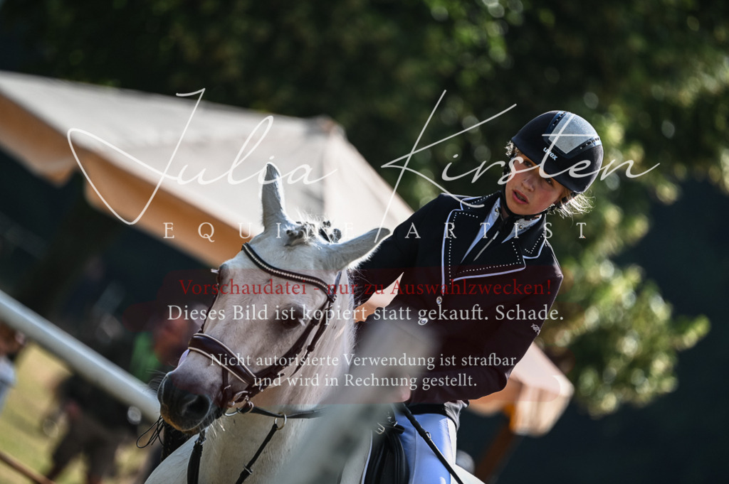 DSC_7712 | Pferde- und Turnierfotografie in Westsachsen. Pferdeportraits, Auftragszeichnungen und intuitive Kunst.