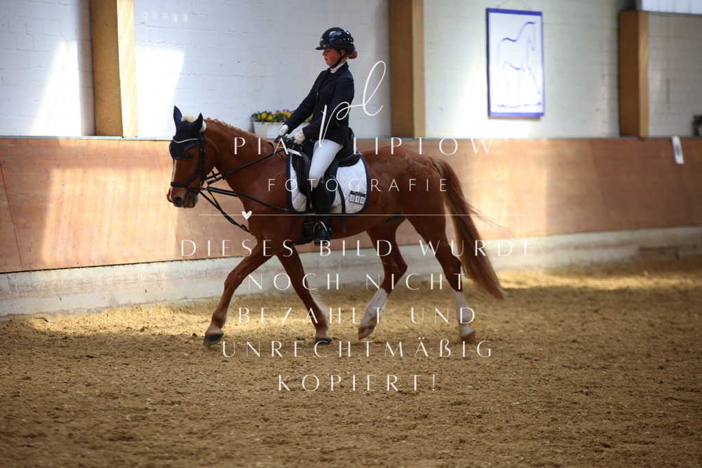 IMGT4185 | pl-fotografie