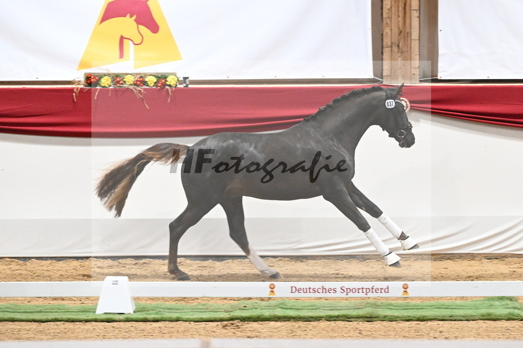 Kat.-Nr. 37 v. Benicio_Schulze Averdiek_3260164 | hf-fotografie - Realizzato con Pictrs.com