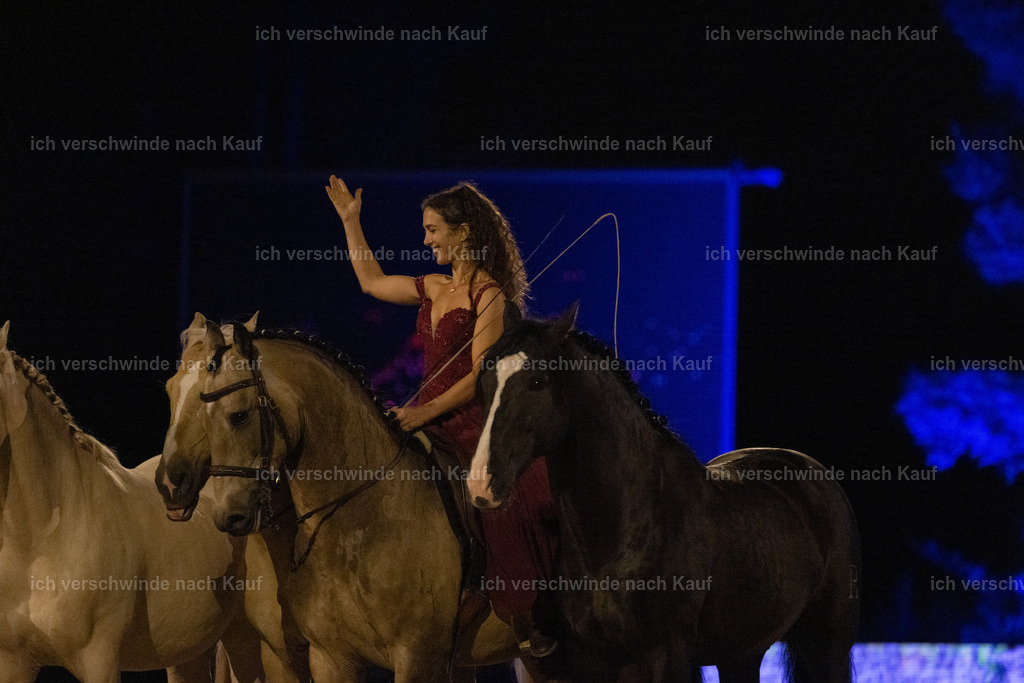 FHClassics-347 | working equitationturnier fotograf videograf stoibphotography marixx film working equitation deutschland reitsport turnierfotografie eventfotografie equestrian events