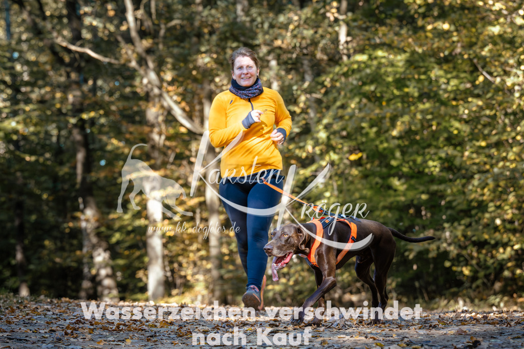 1138_ZZ92944 | kk-dogfotos