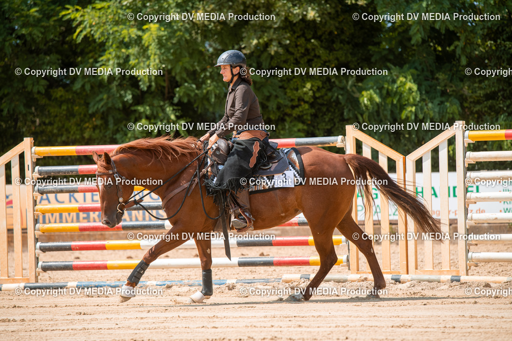 ZS2_8253 | dv-media-shop - Realisiert mit Pictrs.com