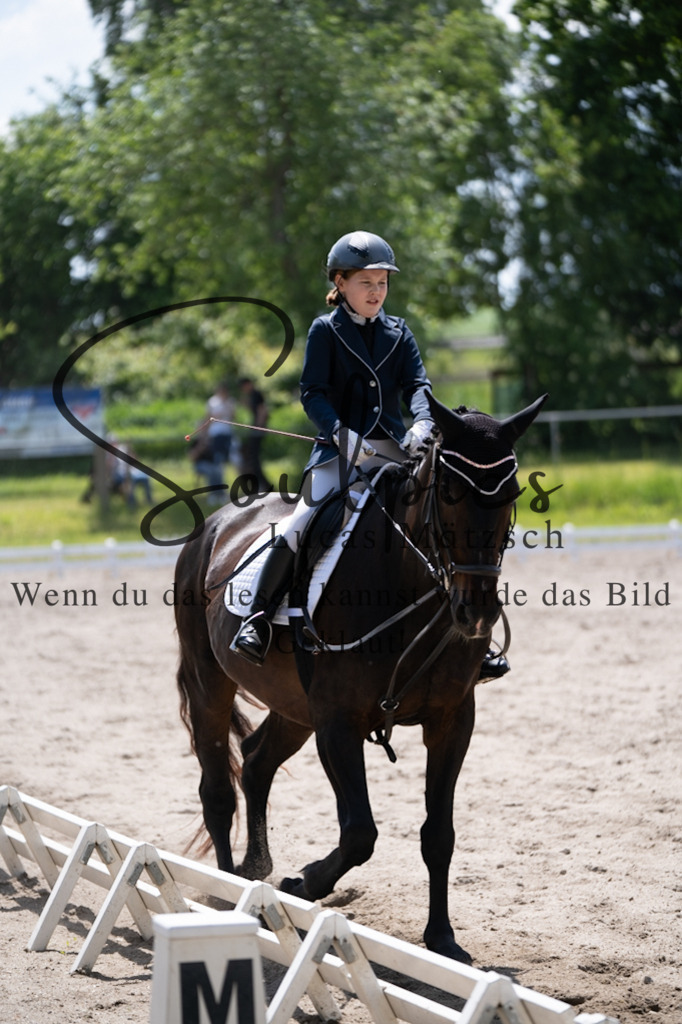 A7V02973 | Pferdefotograf