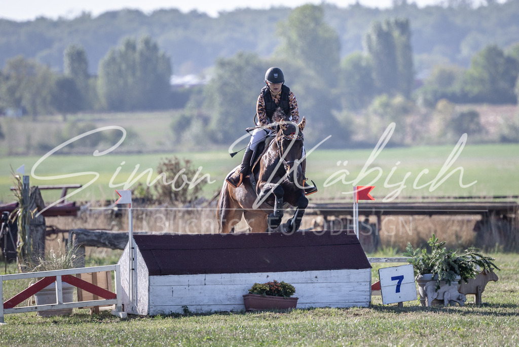20260906-_3LI1749 | Tierfotografie Pferde, Hunde, Katzen, Haustiere.
Turnierfotografie Reitturniere, Reiten, Springreiten, Dressur in Hanau, dem Main-Kinzig-Kreis und dem Rhein-Main- Gebiet um Frankfurt