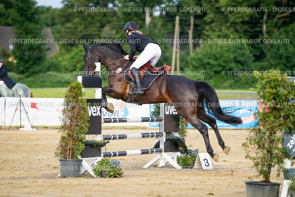 DSC02477 | Pferdegrafie