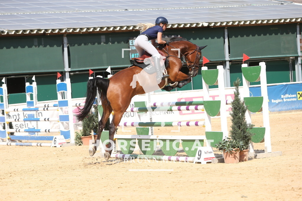 DL2Q1685 | Willkommen bei Brunnmayr - Design & Fotografie – Ihrem Spezialisten für Reitturniere und Pferdeveranstaltungen in Oberösterreich, Salzburg und Bayern! Seit über 17 Jahren sind wir leidenschaftlich dabei.