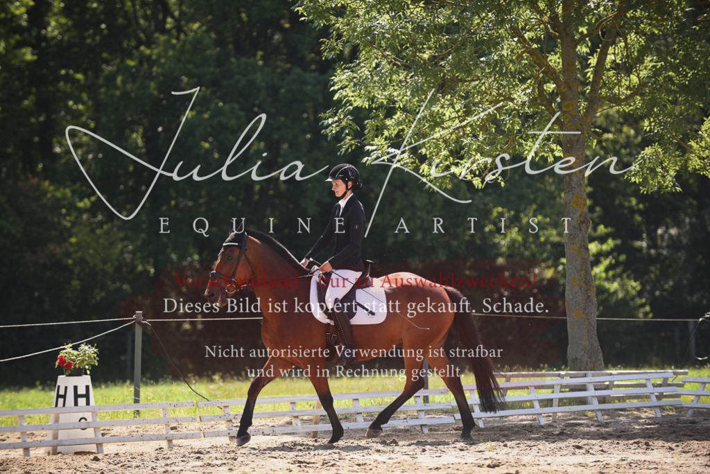 DSC_0475 | Pferde- und Turnierfotografie in Westsachsen. Pferdeportraits, Auftragszeichnungen und intuitive Kunst.