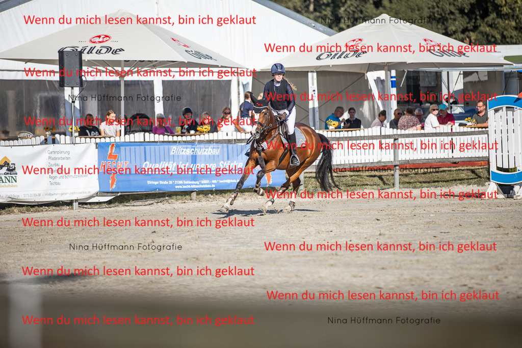 BK1A7492 | Turnierbilder Turnierfotos Nina Hüffmann Turnierfotografie Pferdefotografie Tierzeichnung Haustierzeichnung Pferdezeichnung Hundezeichnung Videograf  - Realisiert mit Pictrs.com