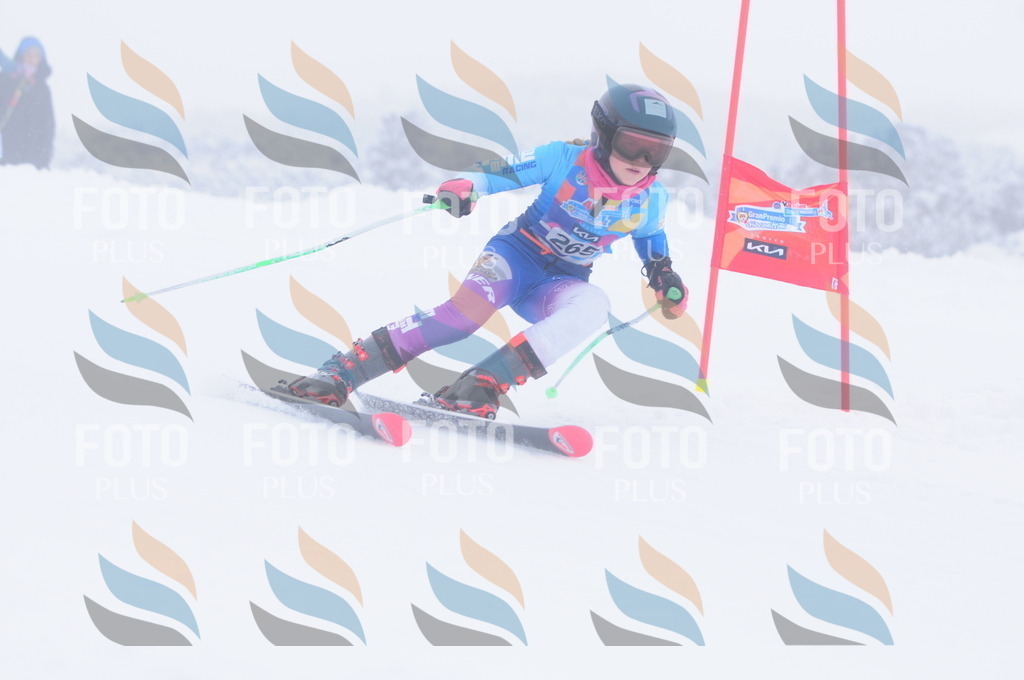 C2783 | holidayphoto