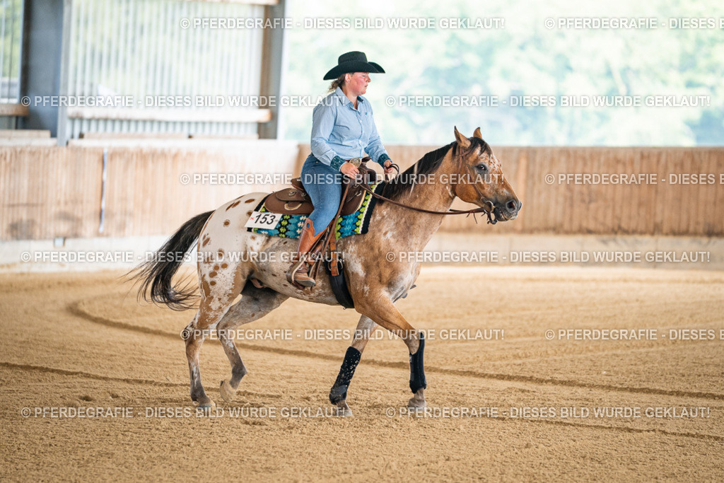 DSC03918 | Pferdegrafie