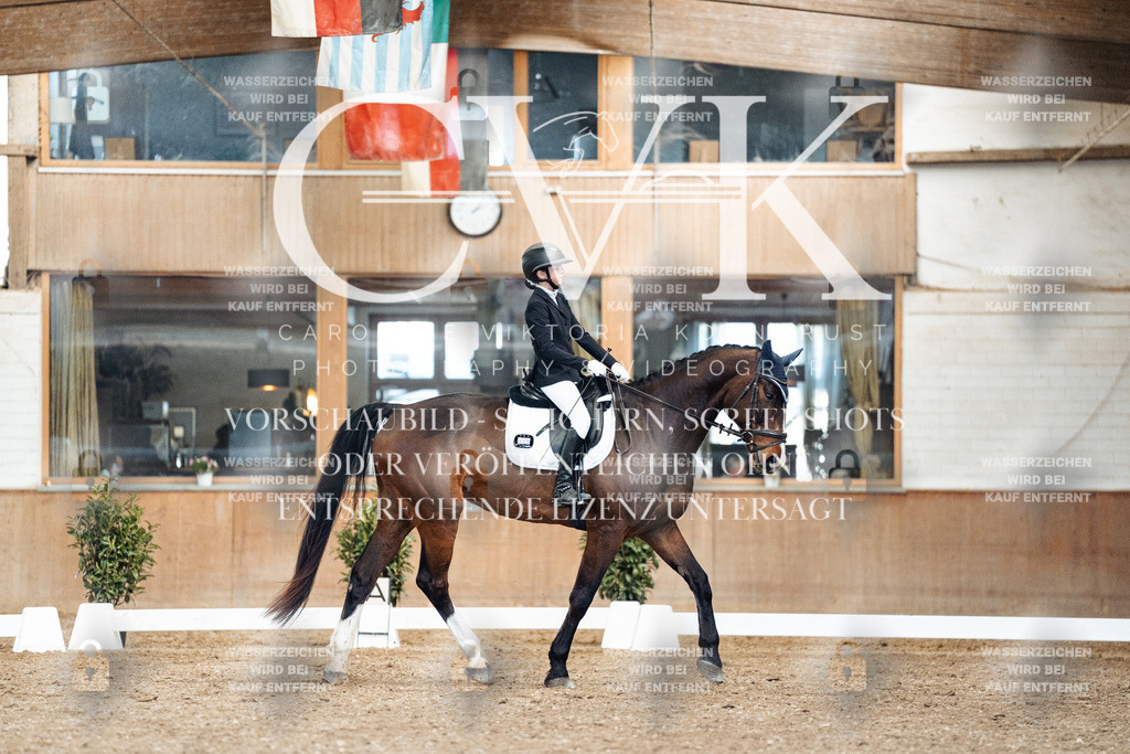CK901221 | Turnierfotografie Pferdefotografie Trier Rheinland-Pfalz Pferdesport Reitsport Tierfotografie Sportfotografie Pferdevideo Pferdevideografie Equestrianvideography equestrianphotography  - Realized with Pictrs.com