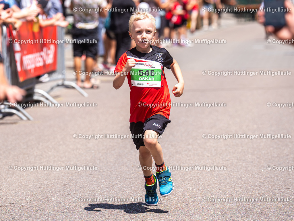 20250621-_DSC5909 | Hüttlinger Muffigelläufe - Realisiert mit Pictrs.com