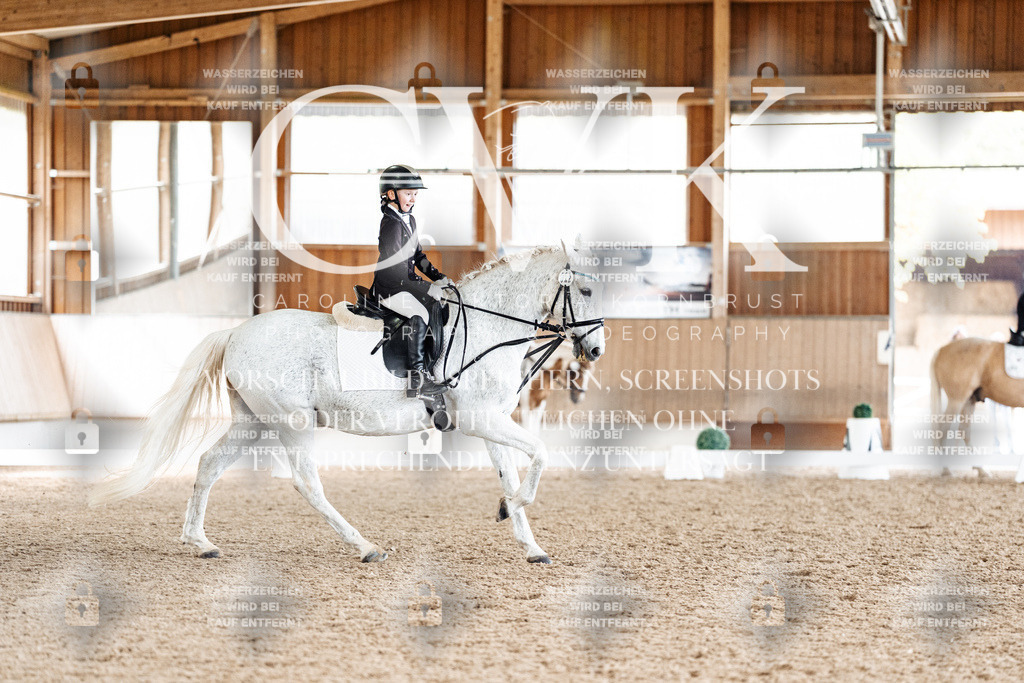 CK900391 | Turnierfotografie Pferdefotografie Trier Rheinland-Pfalz Pferdesport Reitsport Tierfotografie Sportfotografie Pferdevideo Pferdevideografie Equestrianvideography equestrianphotography  - Realisiert mit Pictrs.com