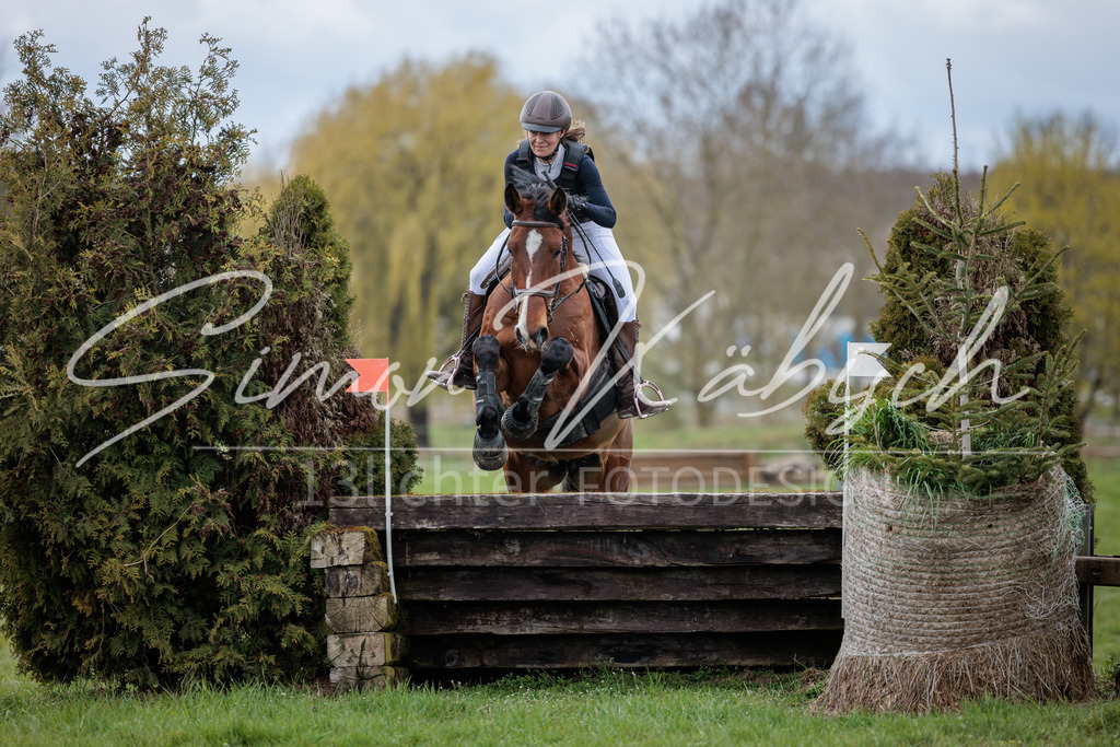 20260329-_3LI5613 | Tierfotografie Pferde, Hunde, Katzen, Haustiere.
Turnierfotografie Reitturniere, Reiten, Springreiten, Dressur in Hanau, dem Main-Kinzig-Kreis und dem Rhein-Main- Gebiet um Frankfurt